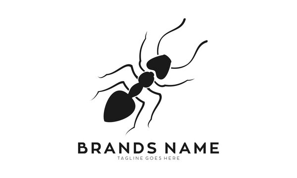 Black ants illustration vector logo
