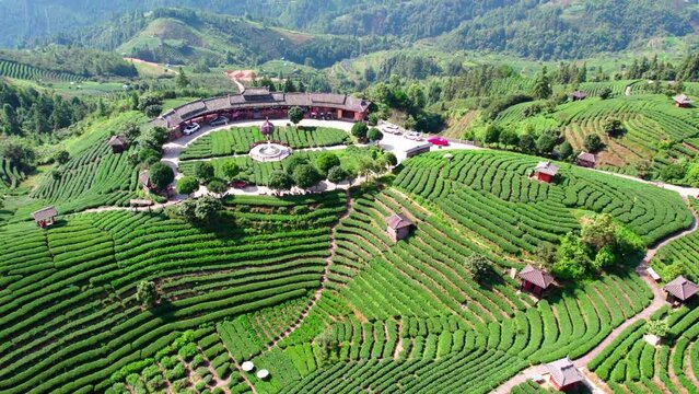 Aerial photography of alpine tea gardens in Guangxi, China