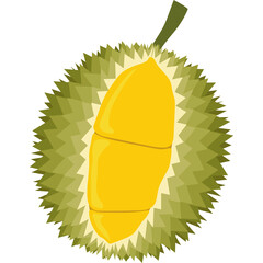 durian fruit