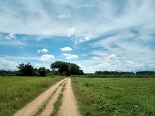 road in the field