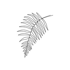 Vector illustration of fern leaf drawn in line art style