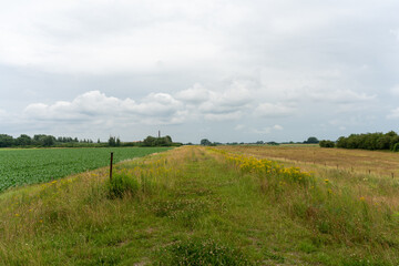 Fototapeta na wymiar Dike along Nederrijn in The Netherlands close to Doorwerth.
