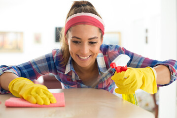 Young smiling woman cleaning the house 