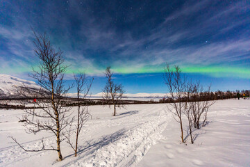 Fototapeta na wymiar Aurora boreale in Lapponia ad Abisko.Luci nel cielo nella fredda notte polare