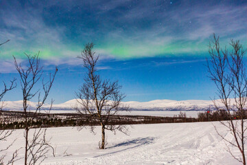 Fototapeta na wymiar Aurora boreale in Lapponia ad Abisko.Luci nel cielo nella fredda notte polare
