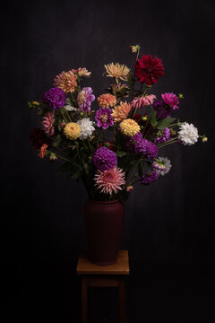 Studio still life with colorful Dahlia flowers