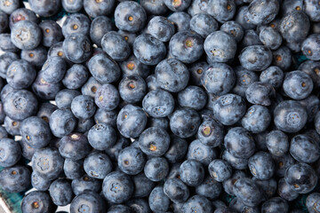 Blueberries background. Ripe and fresh blueberries. Vitamins. Healthy food. Juicy berry.Copy space.Place for text