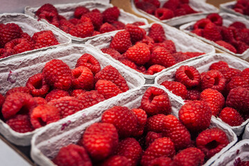 Close-up of fresh raspberries offered in small sales trays at an ecological organic market or weekly market