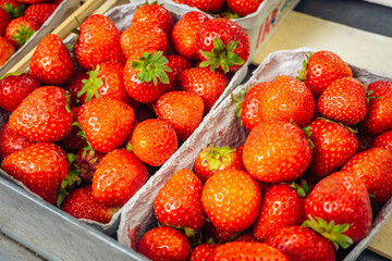 Freshly picked strawberries in small boxes at a weekly market or organic market