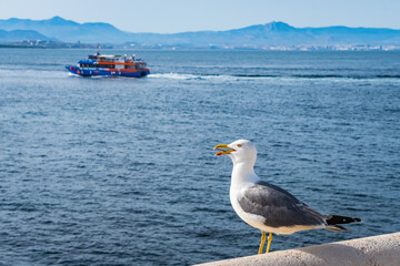 Cityscape from Tabarca Island (Alicante, Spain)