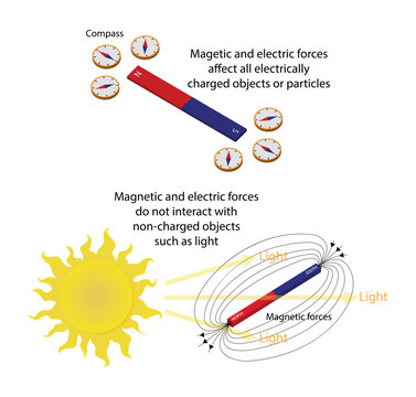 illustration of physics, Magnetic and electric forces affect all electrically charged objects or particles, 