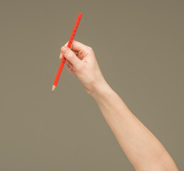 female hands holding orange pencil on white background isolated