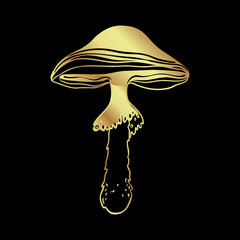 Magic mushrooms. Psychedelic hallucination. Gold vector illustration isolated on black. 60s hippie art. Coloring book for kids and adults.