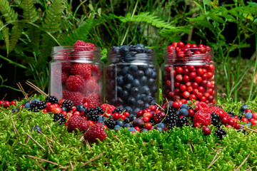 Assorted berries fresh mix colorful arrangement in forest.