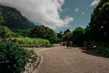 trail in Cape Town