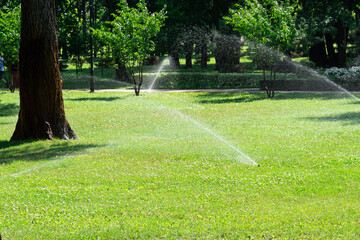 Obraz premium Close-up automatic garden watering system with different sprinklers installed under turf. Landscape design with lawn hills and fruit garden irrigated with smart autonomous sprayers at sunset time.