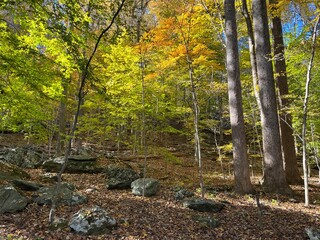 The spectacular autumn scenery of the Catoctin Mountain Wilderness, in Cunningham Falls State Park, Frederick County, Maryland.