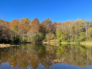 Fototapeta premium The tranquil beauty of the Frank Bentz Pond in Thurmont, Frederick County, Maryland, during the autumn season.