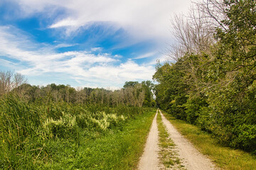 Dirt recreational trail passing through lush green Wisconsin landscape on a summer day.