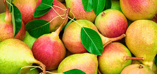 Pears with a red tint, healthy food, close-up organic background, top view.
