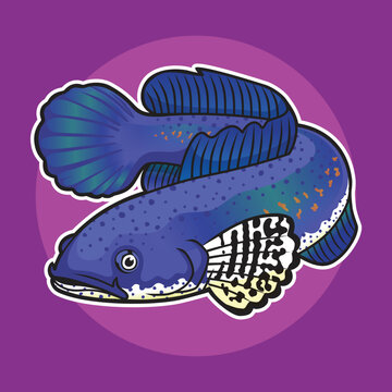 Blue Channa Fish Logo Mascot Vector