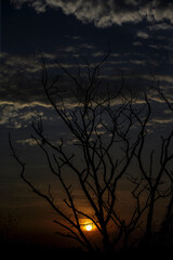 silhouette at sunset