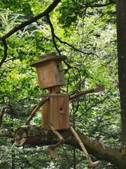 wooden bird house