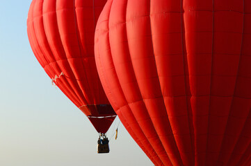 hot air balloons in the sky