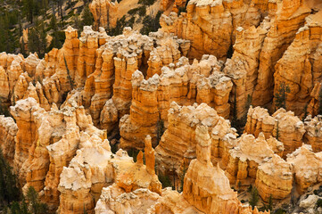 close view of pink hoodoos  of Fairyland Point at Bryce National Park, Utah, USA