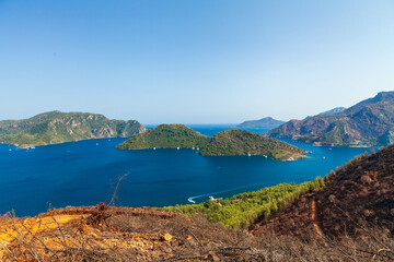 Fototapeta na wymiar Marmaris, Turkey – The sawed pine tree and sea view from the hill. Trees burned in devastating forest fires in the resort town of Marmaris in Turkey. 