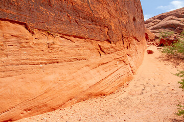 soft sandy bottom of a canyon that has been wind worn and eroded by weather, a few shrubs grow along a steep red rock boulder