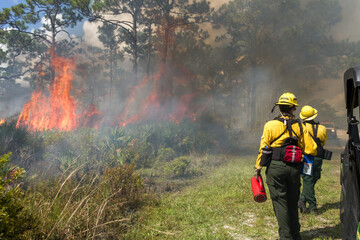 Florida fire crew watching flames ignite among palmettos and pines