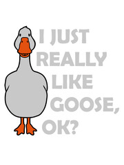 really like goose ok 
