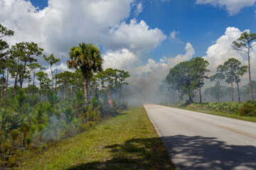 Fototapeta premium Smoke obscuring a road during a prescribed burn