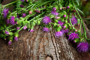 Burdock flowers. Bouquet of wild flowers. Close-up of a purple flower. Selective focus. Floral wallpaper. Blurred background