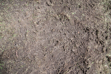 Soil background. Natural texture of the earth. Abstract surface for design