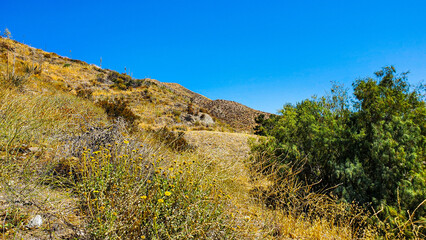 path in the mountains