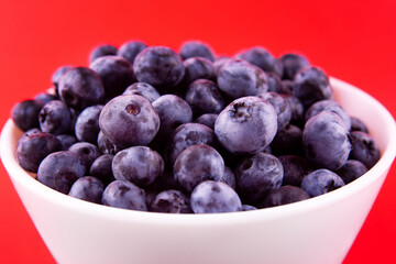 Blueberries on a macro scale. Dark berries in close-up. Ripe blueberries isolated on red. Healthy, natural fruit..