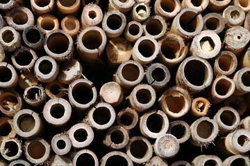 Texture of ends of brown bamboo sticks. Close up color image. Interesting pattern, perfect as a background photo. 