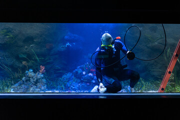 professional diver in a diving mask, cleans the inside of a large exhibition aquarium without fish, preparation for introducing fish into the aquarium in zoo. - obrazy, fototapety, plakaty