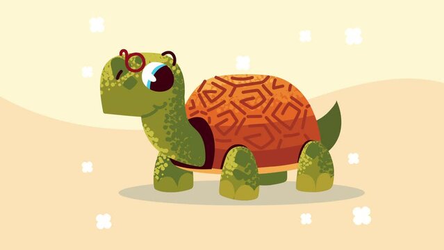 cute turtle comic character animation