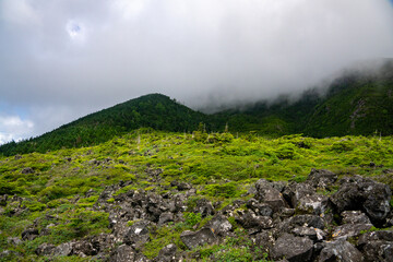 北八ヶ岳・坪庭自然園の溶岩台地と山並み