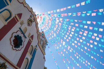 The Tule tree from Santa Maria del Tule, Mexico. The Biggest tree in Latin America is over 2000 years old