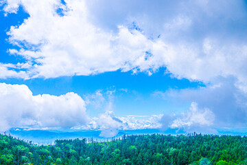 自然風景　森と夏空　イラスト風