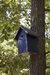 Blue birdhouse on the tree.