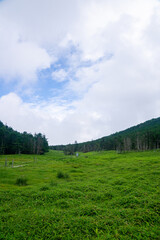 Fototapeta na wymiar 北八ヶ岳の風景（雨池峠付近）