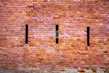 Fototapeta premium Tekstura ściany z cegły tła, zabytkowy budynek.