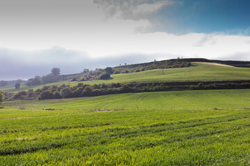 Fototapeta na wymiar Fields of Castile, Spain in Spring, near the city of Burgos.