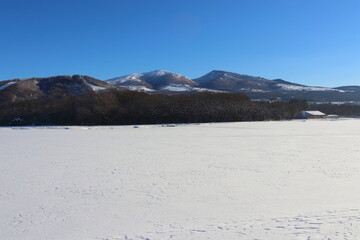 雪国の青空と森と雪　菅平高原
