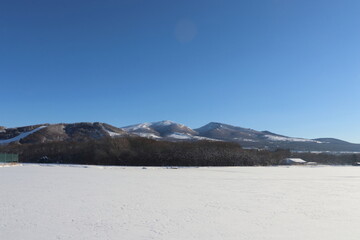 雪国の青空と森と雪　菅平高原